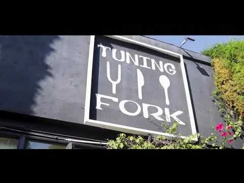 Tuning Fork video still