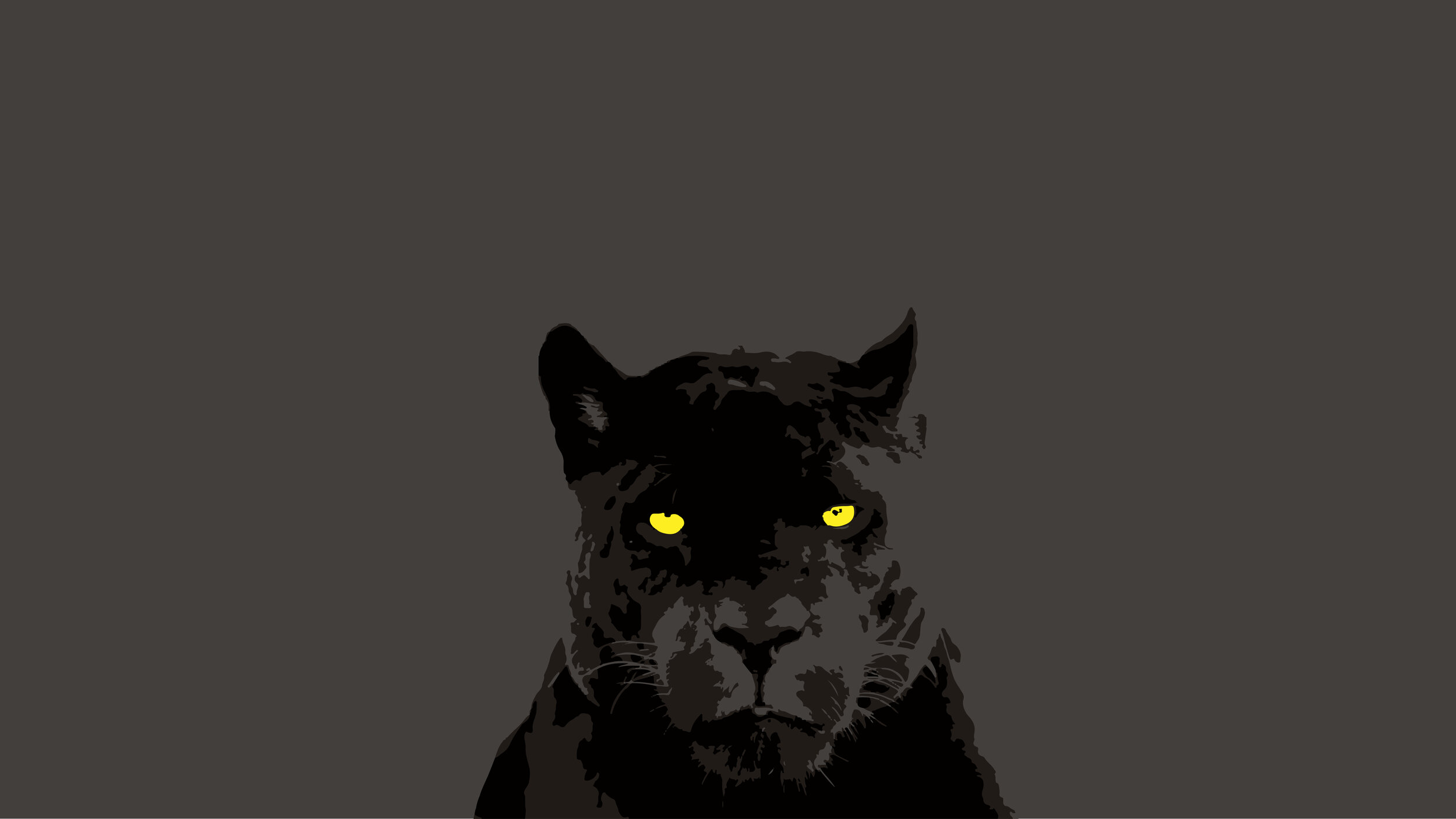 Panther illustration study